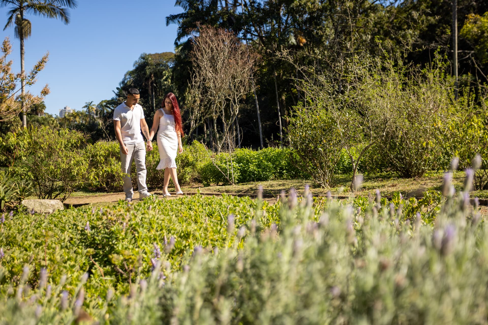 O casal caminhando de mãos dadas por um jardim florido em um dia de céu azul